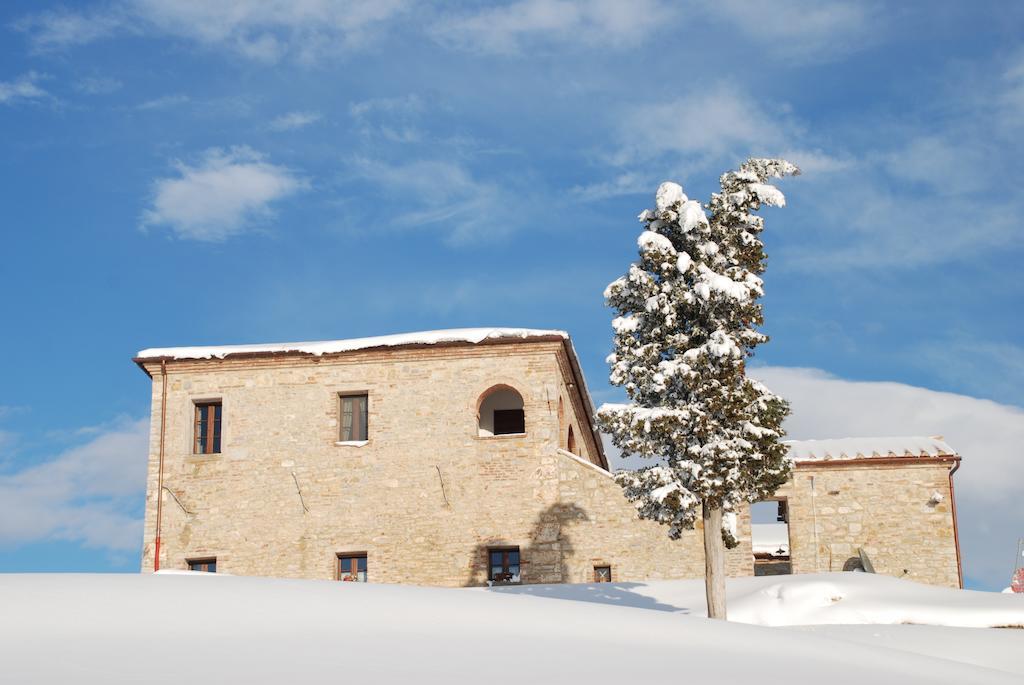 Agriturismo Scannano Serre Di Rapolano Zewnętrze zdjęcie