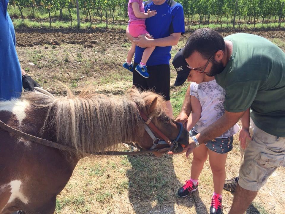 Agriturismo Scannano Serre Di Rapolano Zewnętrze zdjęcie