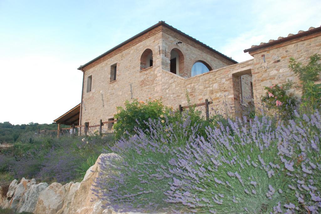 Agriturismo Scannano Serre Di Rapolano Zewnętrze zdjęcie