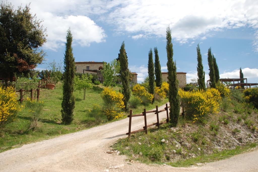 Agriturismo Scannano Serre Di Rapolano Zewnętrze zdjęcie